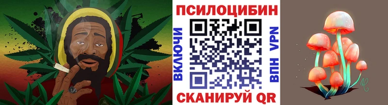 где купить наркоту  Краснодар  Псилоцибиновые грибы GOLDEN TEACHER 