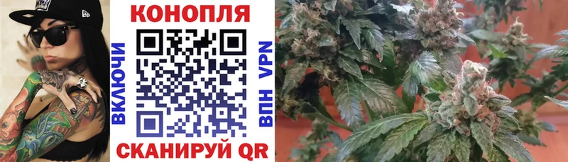 цены Краснодар Каннабис Bruce Banner